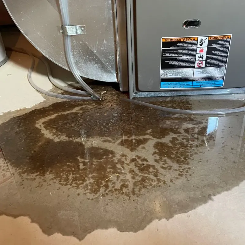 Pipe Burst and Leak Restoration in South Hadley, MA
